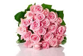 rose flower